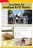 P16_June-2013_IV.jpg - 
